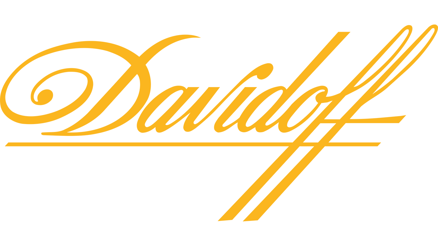 Davidoff Winston Churchill Robusto